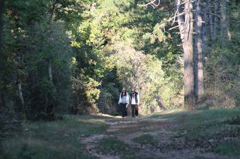 Randonnée en Automne dans la Côte Chalonnaise