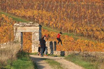 Randonnée en Automne dans la Côte Chalonnaise