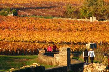 Randonnée en Automne dans la Côte Chalonnaise