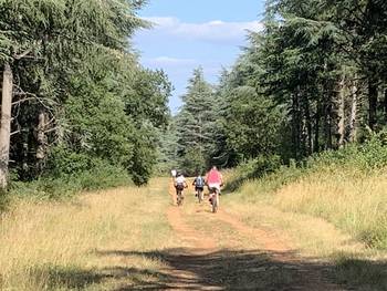 Promenade en VTT dans la Côte Chalonnaise